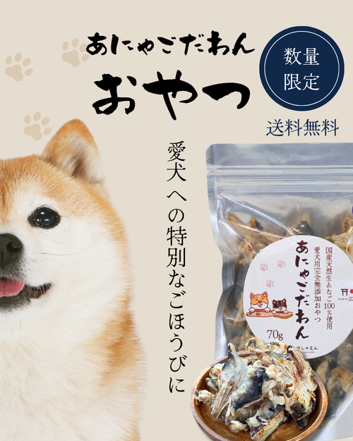 次回3/7再販！】国産天然あなご100%使用 愛犬用完全無添加おやつ あ